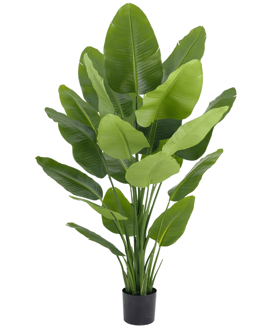 Plante artificielle Strelitzia