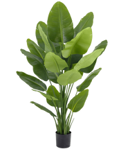 Plante artificielle Strelitzia