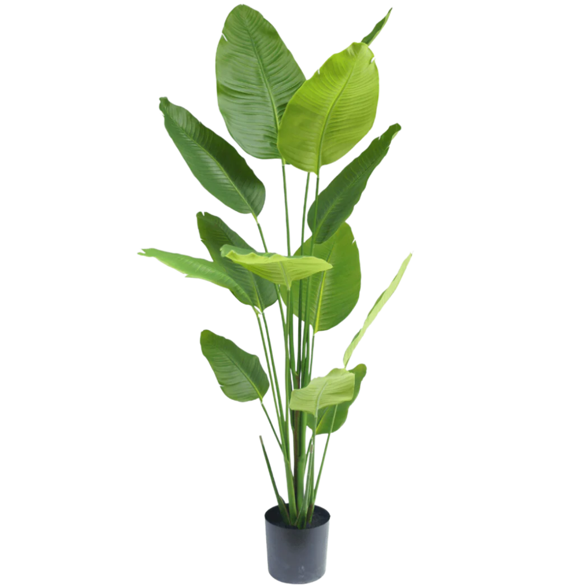 Plante artificielle