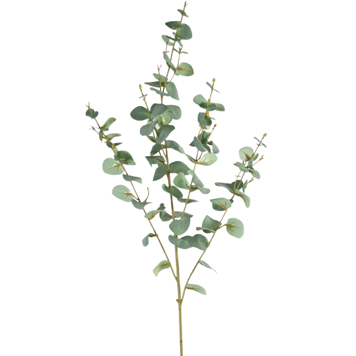 Eucalyptus artificiel