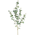 Eucalyptus artificiel