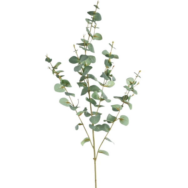 Eucalyptus artificiel