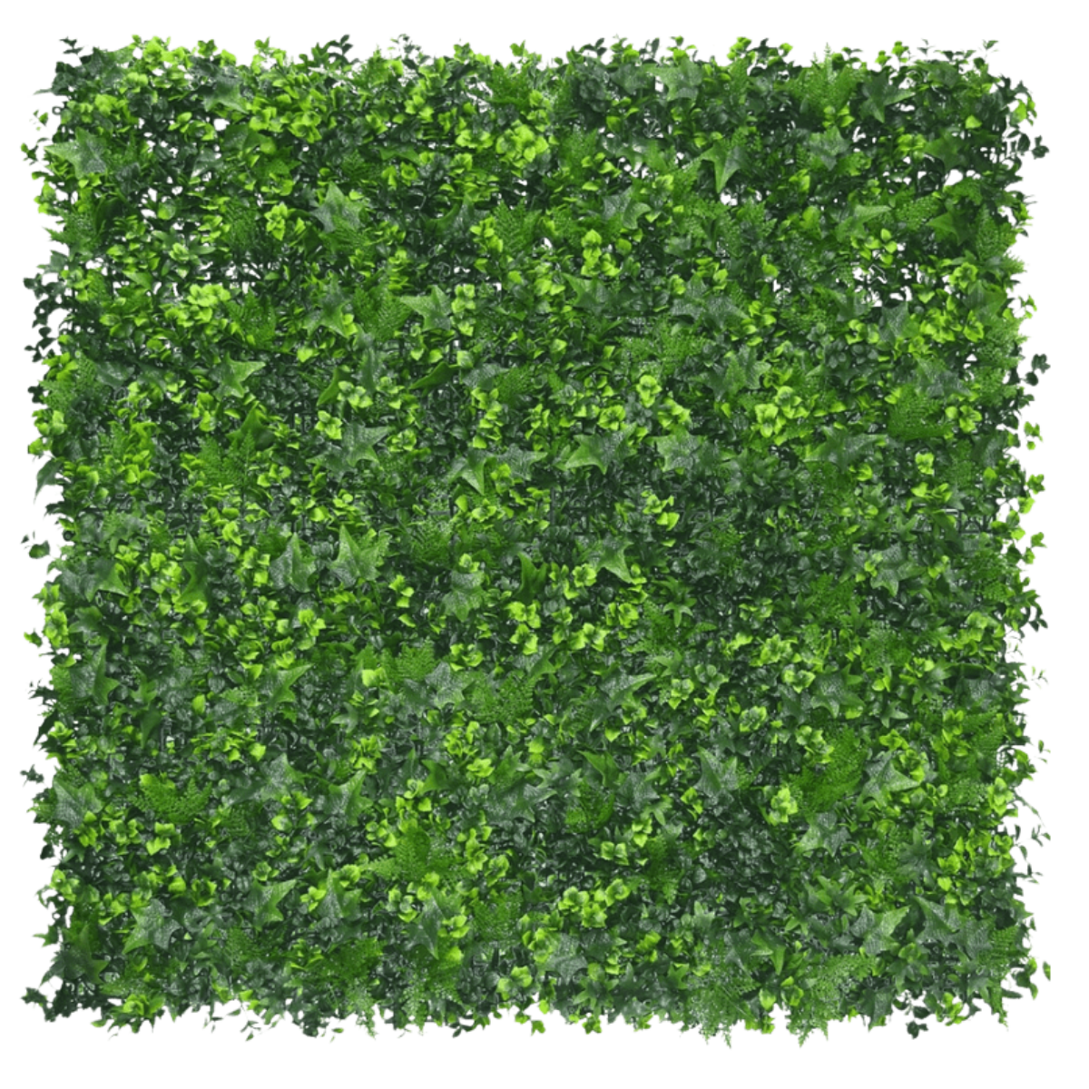 Mur végétal artificiel Lierre