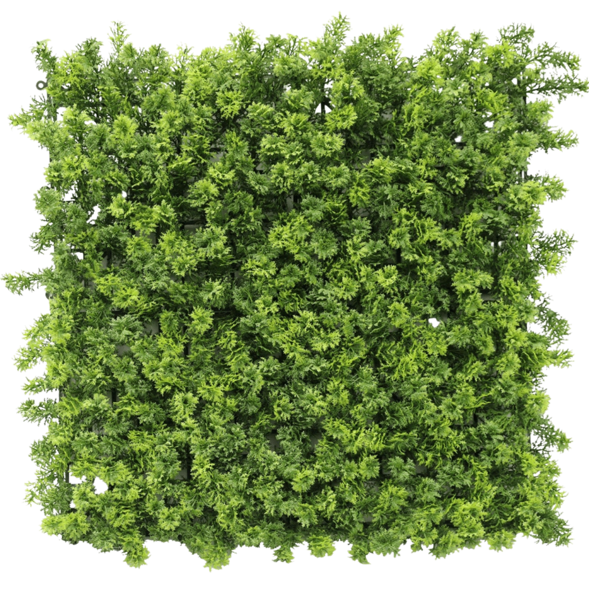 Mur végétal artificiel 50x50