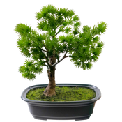Bonsai Artificiel