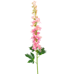 Delphinium artificiel