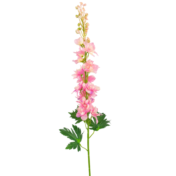 Delphinium artificiel