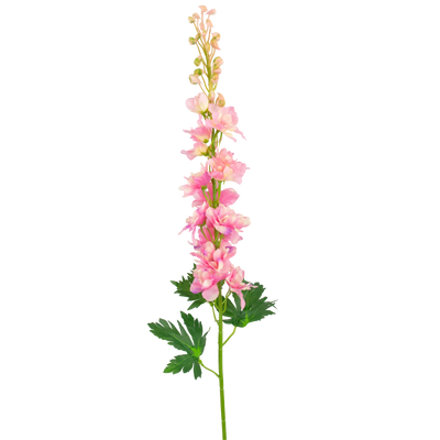 Delphinium artificiel