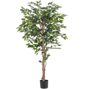 Ficus artificiel