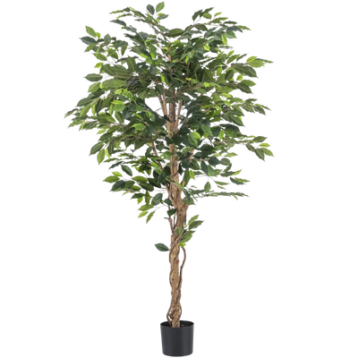 Ficus artificiel