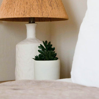 succulentes artificielles