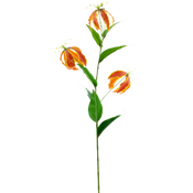 Gloriosa artificielle
