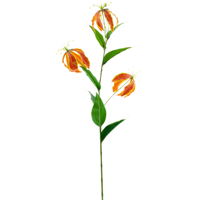 Gloriosa artificielle