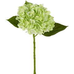 Hortensia artificiel