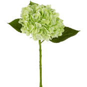 Hortensia artificiel