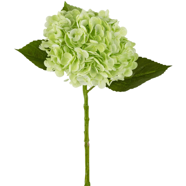 Hortensia artificiel