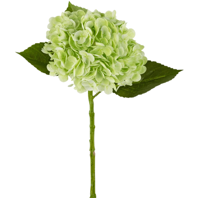 Hortensia artificiel