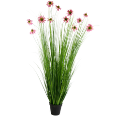 Plantes de gazon artificiel