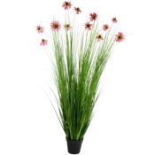 Plantes de gazon artificiel