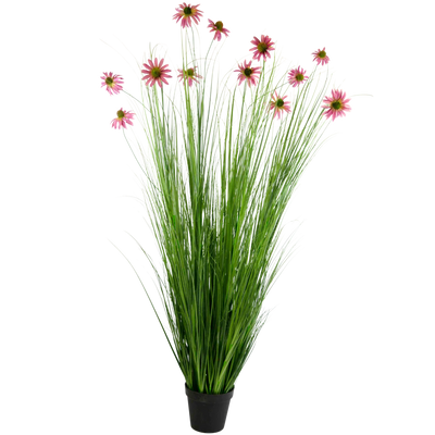 Plantes de gazon artificiel