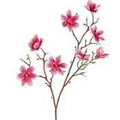 Magnolia artificiel