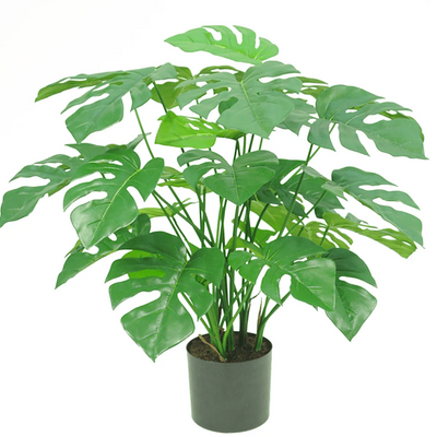 Monstera & Philodendron artificiel