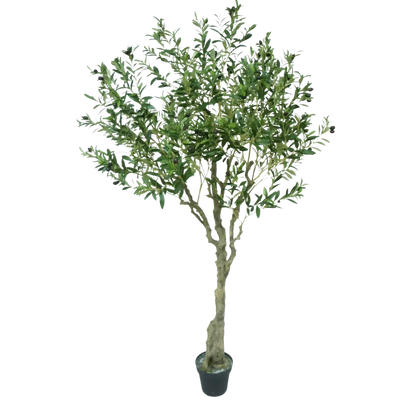 Olivier Artificiel, Olives, Arbre Décoratif, Détails Réalistes, H X D 180 X 70 Cm Vert Et Marron Relaxdays 95329770 Olivier Artificiel, Olives, Arbre Décoratif, Détails Réalistes, H X D 180 X 70 Cm Vert Et Marron Relaxdays 95329770
