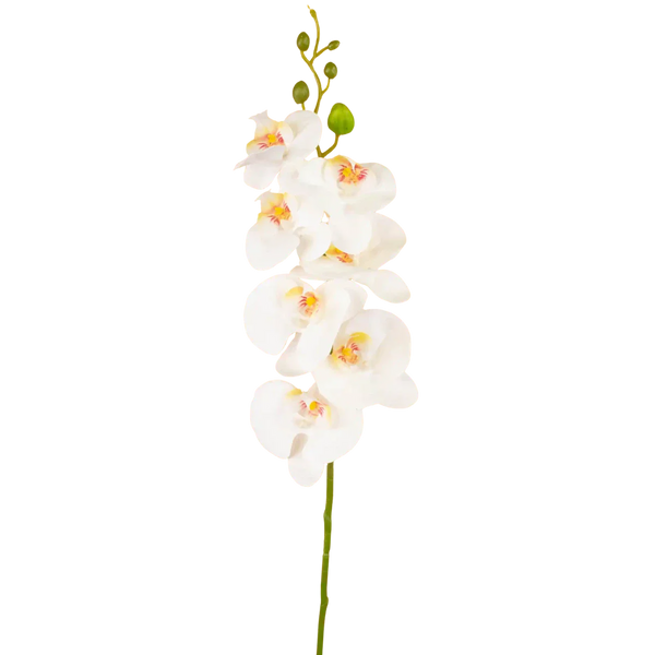 Orchidée artificiel