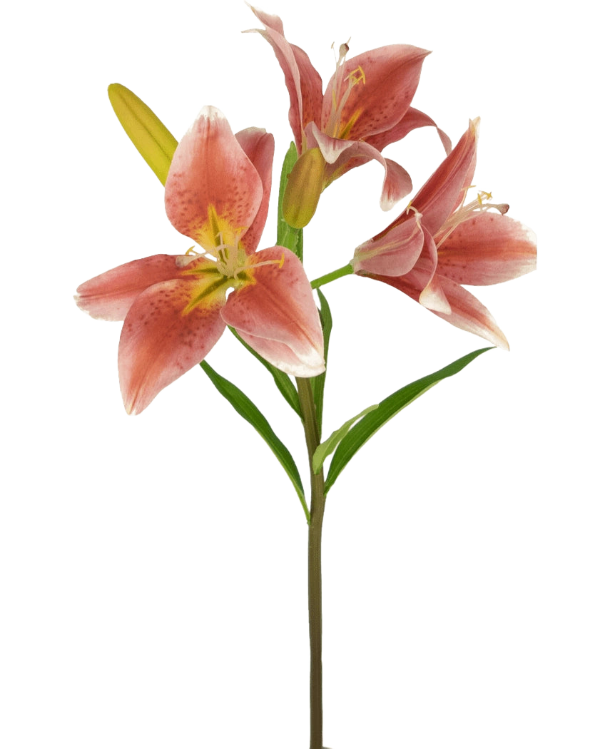Lys artificiel