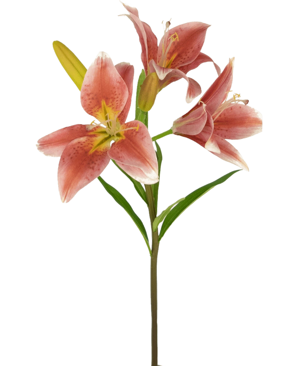 Lys artificiel