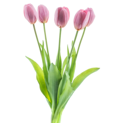 Tulipes artificielles