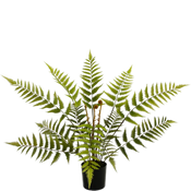 Fougères artificielles