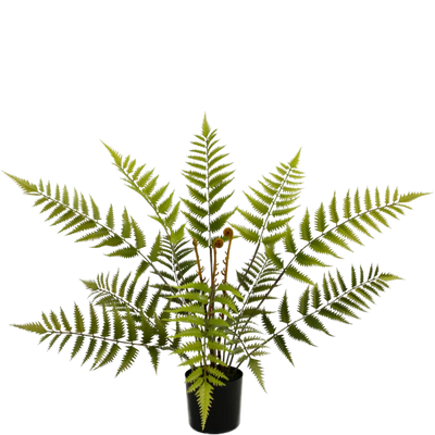 Fougères artificielles