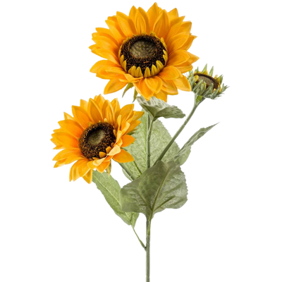 Tournesol artificiel