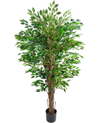Plante artificielle Hawaïenne Ficus Liana 180 cm