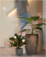 Une personne monte un escalier en bois et passe devant deux plantes en pot : l'une est une plante de magnolia artificielle dans un pot de 46 cm avec de grandes feuilles vertes, et l'autre est une petite plante facile d'entretien avec des fleurs blanches. Les deux sont placés au pied des escaliers comme décoration intérieure élégante.