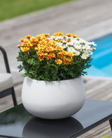 Une plante UV de marguerite artificielle de 31 cm, avec des marguerites orange, jaunes et blanches dans un pot blanc, se dresse sur une table noire à côté d'une piscine avec une terrasse en bois.