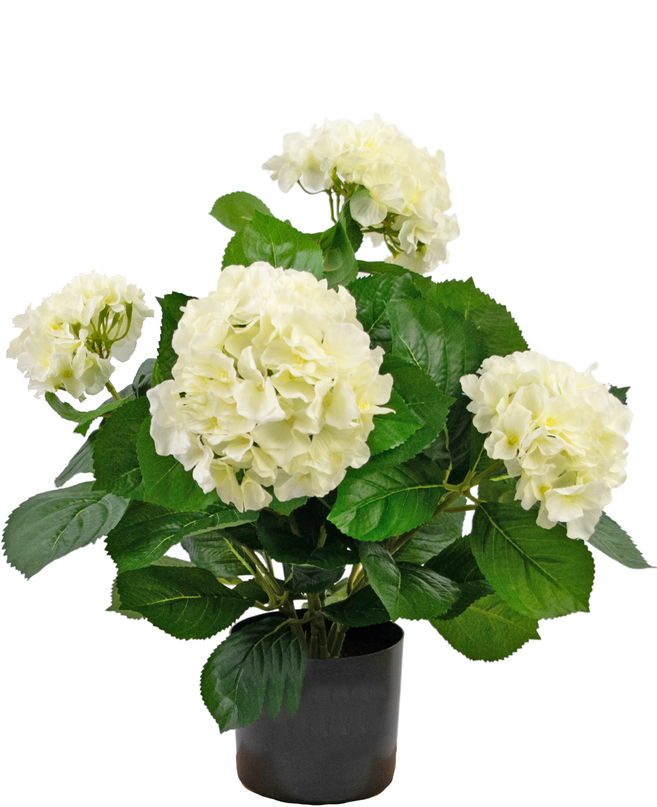 Hortensia artificiel 43 cm blanc