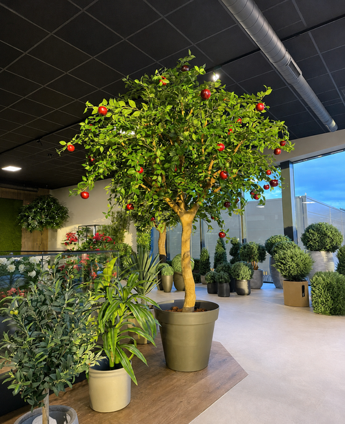 Pommier artificiel de 240 cm avec des pommes rouges réalistes dans un pot marron, entouré de diverses plantes vertes en pot dans une salle d'exposition moderne et bien éclairée avec portes et fenêtres vitrées. Cette impressionnante pièce d'intérieur en arbre artificiel donne à n'importe quelle pièce un aspect vibrant et naturel.
