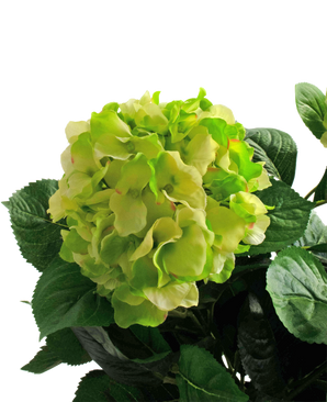 Hortensia artificiel 43 cm vert