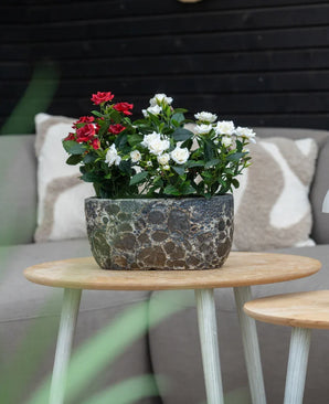 Une Plante Artificielle Patio Rose 35 cm crème UV se dresse sur une table ronde en bois devant un canapé beige avec des coussins à motifs.