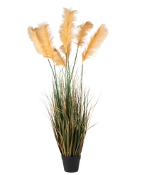 Herbe artificielle de la pampa 200 cm ignifugée