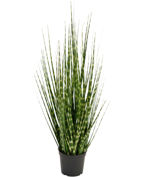 Kunsgrass Zebra herbe branche 56cm ignifugé
