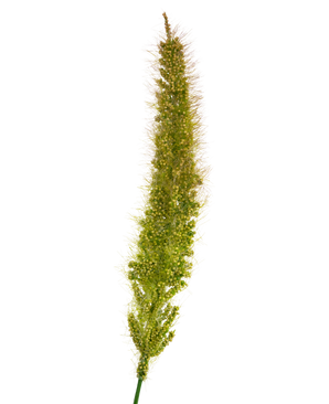 Gazon artificiel rhododendron oignon herbe pot 90 cm ignifugé