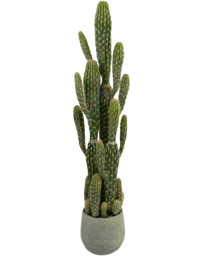 Cactus artificiel 100 cm