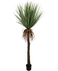 Plante artificielle Yucca 153 cm