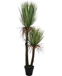 Yucca artificiel Deluxe 153 cm