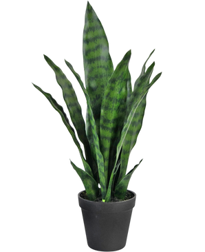 Plante artificielle Sansevieria Zeylanica 44 cm