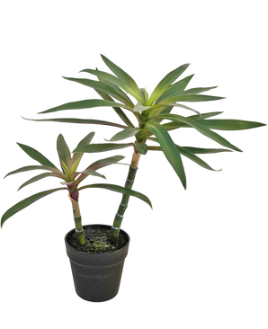 Plante artificielle Yucca gigantea 53 cm