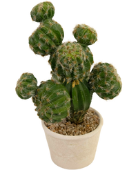 Cactus artificiel 32 cm